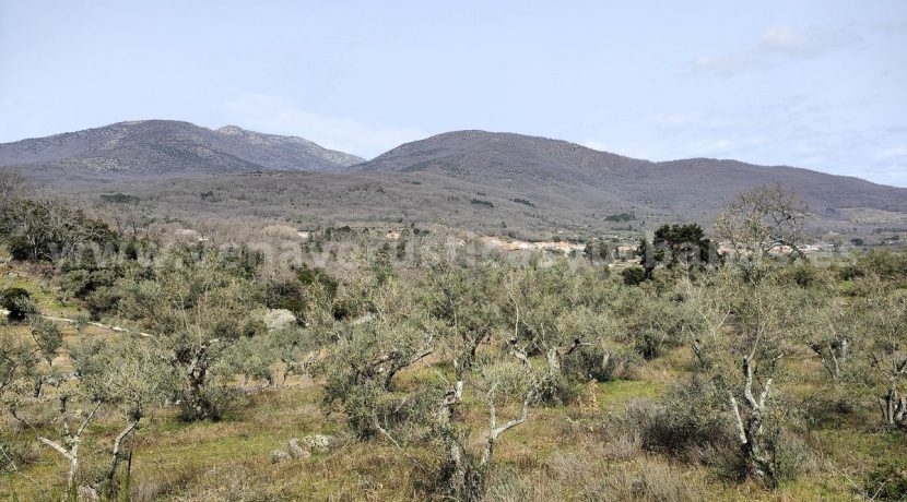 IMG20260304132410_result