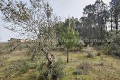 IMG20260304132419_result