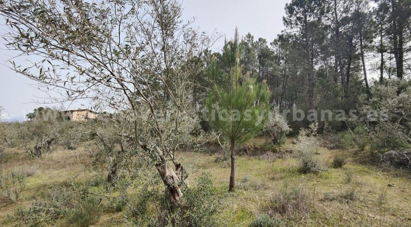 IMG20260304132419_result