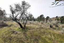 IMG20260304132453_result