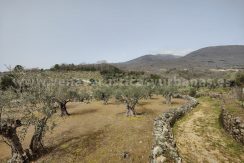 IMG20260304132535_result