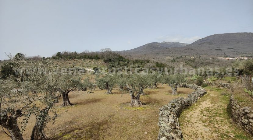 IMG20260304132535_result