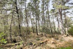 IMG20260304133402_result