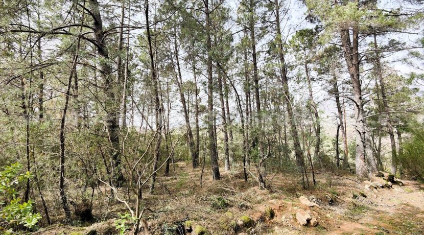 IMG20260304133402_result