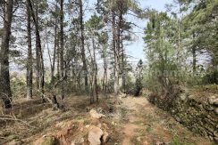 IMG20260304133416_result