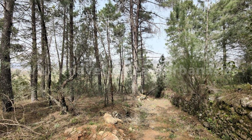 IMG20260304133416_result