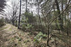 IMG20260304133422_result