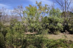 IMG20260323125239_result