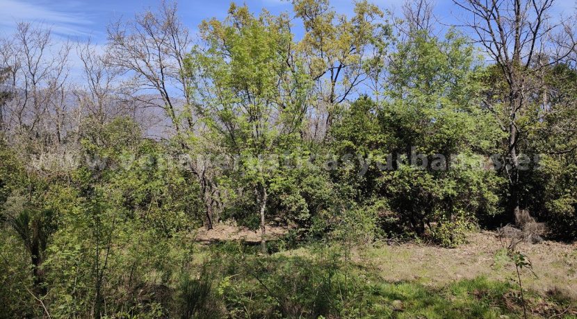 IMG20260323125239_result