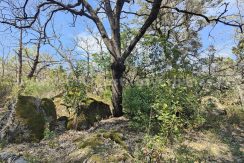 IMG20260323125447 (1)_result