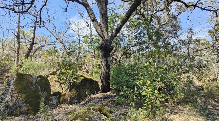 IMG20260323125447 (1)_result