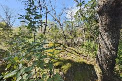 IMG20260323125554_result