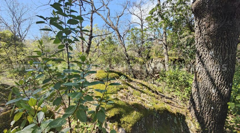 IMG20260323125554_result