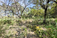 IMG20260323125702_result