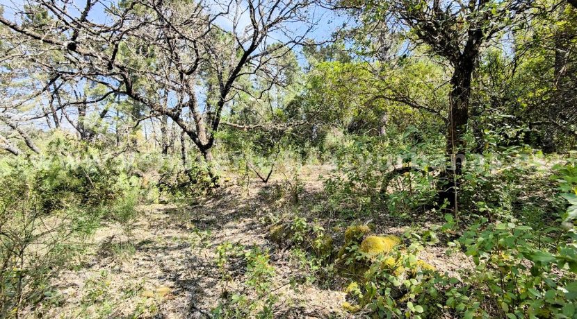 IMG20260323125702_result