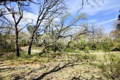 IMG20260323125720_result