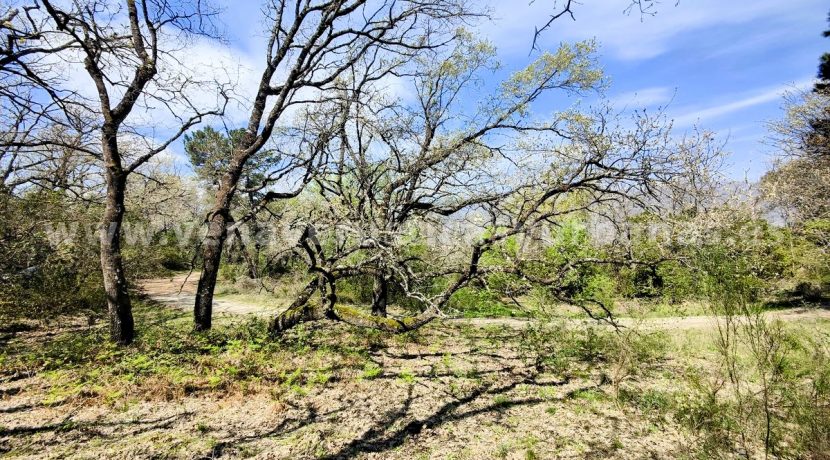 IMG20260323125720_result