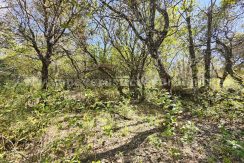 IMG20260323125904 (1)_result