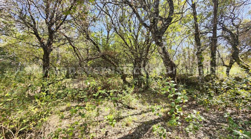 IMG20260323125904 (1)_result