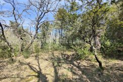 IMG20260323125937_result