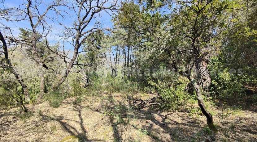 IMG20260323125937_result