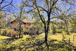 IMG20260331135218 (1)_result