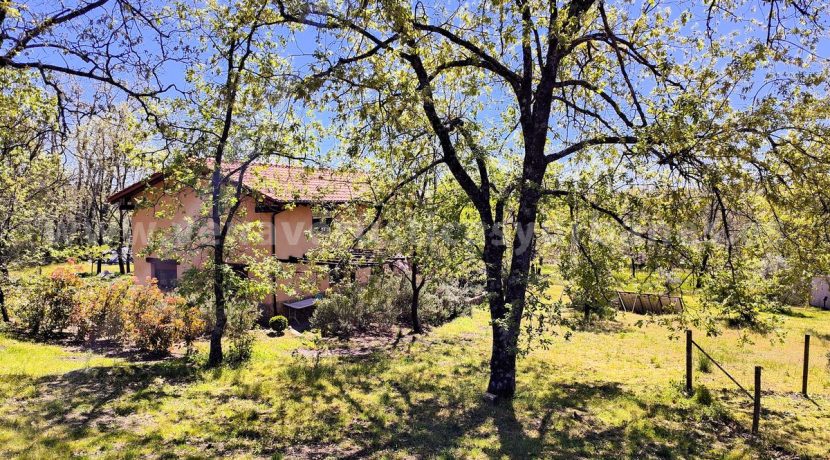 IMG20260331135218 (1)_result