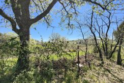 IMG20260331135605_result