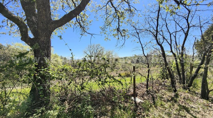 IMG20260331135605_result