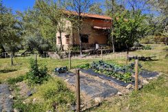 IMG20260331135935_result