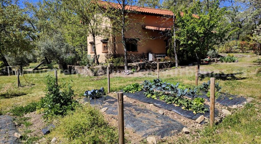 IMG20260331135935_result