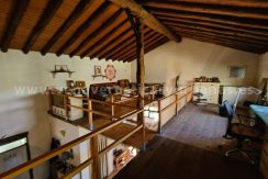 WhatsApp Image 2026-03-27 at 10.45.38 (2)_result