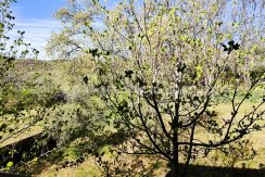 WhatsApp Image 2026-03-27 at 10.45.40_result