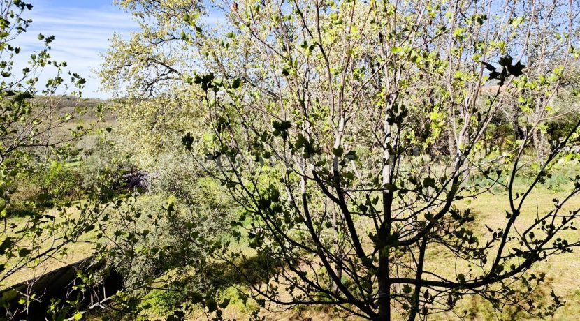 WhatsApp Image 2026-03-27 at 10.45.40_result