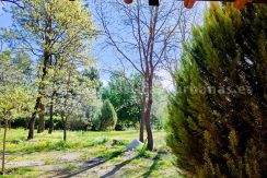 WhatsApp Image 2026-03-27 at 10.46.36_result