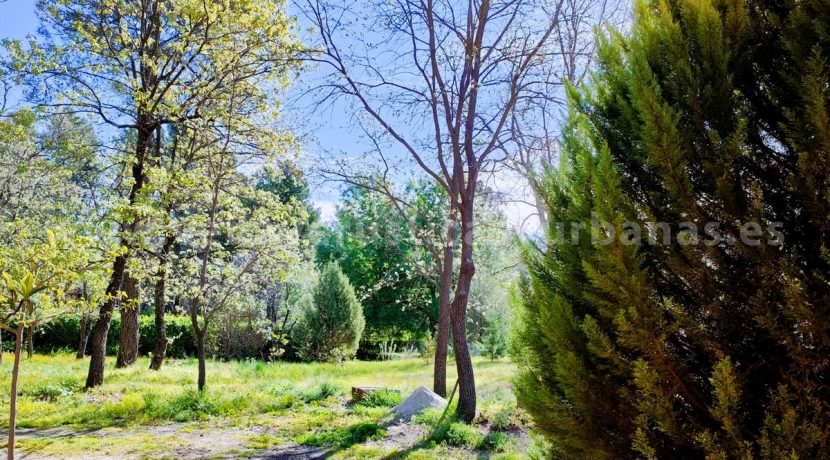 WhatsApp Image 2026-03-27 at 10.46.36_result