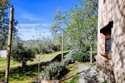 WhatsApp Image 2026-03-27 at 10.46.40 (1)_result