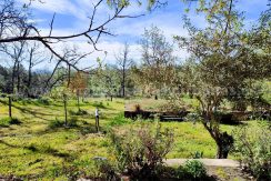 WhatsApp Image 2026-03-27 at 10.46.40_result