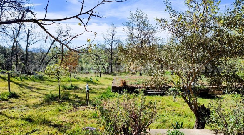 WhatsApp Image 2026-03-27 at 10.46.40_result