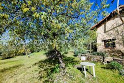 WhatsApp Image 2026-03-27 at 10.46.43_result