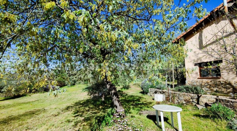 WhatsApp Image 2026-03-27 at 10.46.43_result