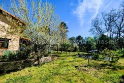 WhatsApp Image 2026-03-27 at 10.46.47_result