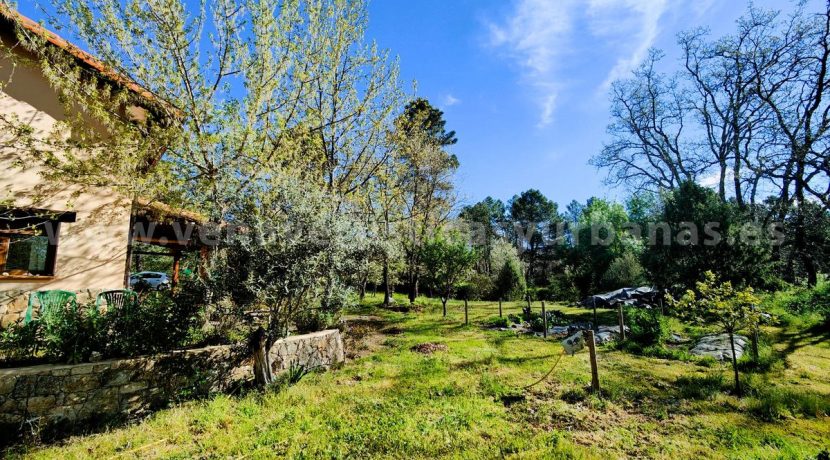 WhatsApp Image 2026-03-27 at 10.46.47_result