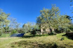 WhatsApp Image 2026-03-27 at 10.46.49_result