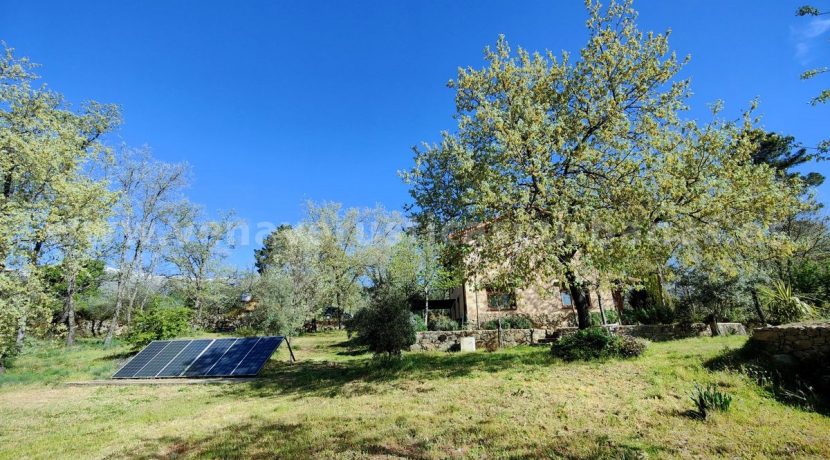 WhatsApp Image 2026-03-27 at 10.46.49_result