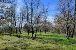 WhatsApp Image 2026-03-27 at 10.46.54 (1)_result