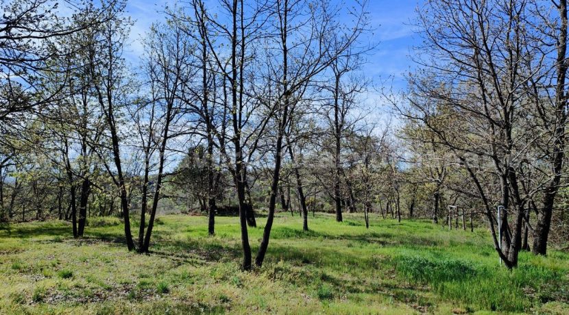 WhatsApp Image 2026-03-27 at 10.46.54 (1)_result