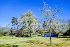 WhatsApp Image 2026-03-27 at 10.46.57_result