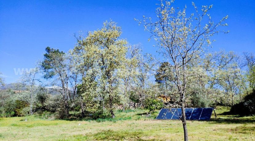 WhatsApp Image 2026-03-27 at 10.46.57_result