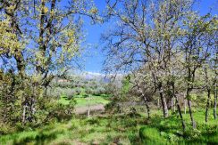 WhatsApp Image 2026-03-27 at 10.47.00 (1)_result